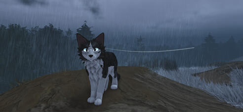 husky