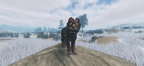 tasmanian devil