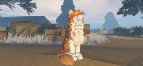 Ginger Maine Coon