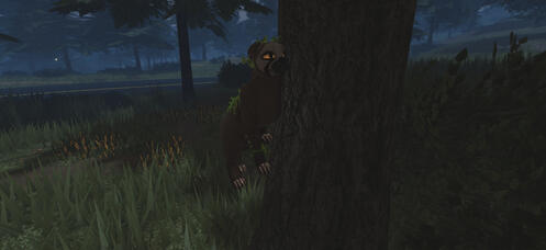 sloth