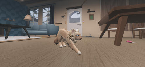 ragdoll